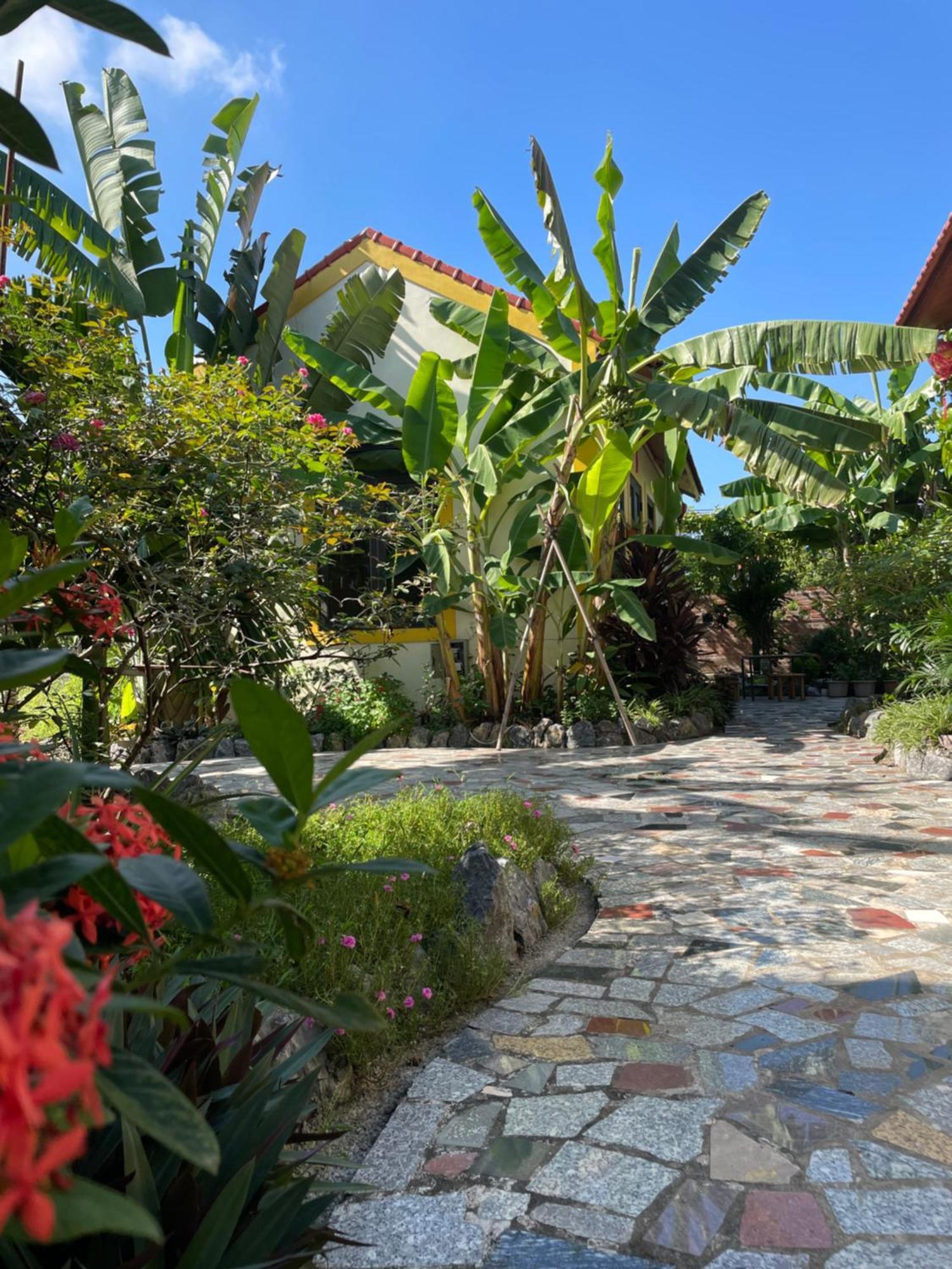 Ninh Binh Royal Homestay Bagian luar foto